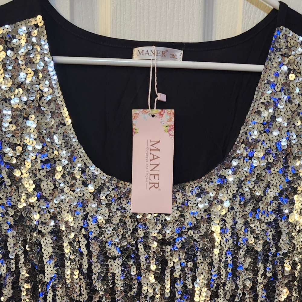 Mane Black and Silver Blouse with Elegant Design